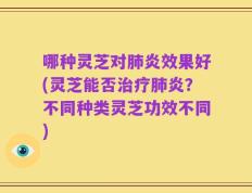 哪种灵芝对肺炎效果好(灵芝能否治疗肺炎？不同种类灵芝功效不同)