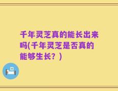 千年灵芝真的能长出来吗(千年灵芝是否真的能够生长？)