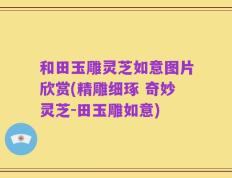 和田玉雕灵芝如意图片欣赏(精雕细琢 奇妙灵芝-田玉雕如意)