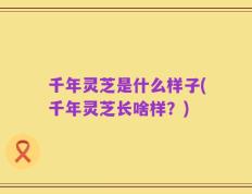 千年灵芝是什么样子(千年灵芝长啥样？)
