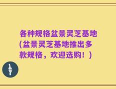 各种规格盆景灵芝基地(盆景灵芝基地推出多款规格，欢迎选购！)