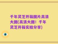 千年灵芝开箱图片高清大图(高清大图！千年灵芝开箱实拍分享)