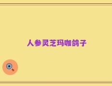 人参灵芝玛咖鸽子