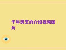 千年灵芝的介绍视频图片