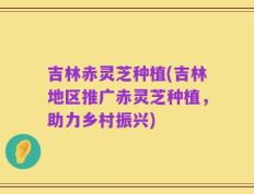 吉林赤灵芝种植(吉林地区推广赤灵芝种植，助力乡村振兴)