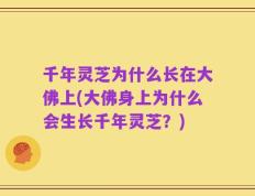 千年灵芝为什么长在大佛上(大佛身上为什么会生长千年灵芝？)
