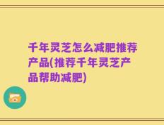 千年灵芝怎么减肥推荐产品(推荐千年灵芝产品帮助减肥)