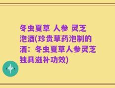 冬虫夏草 人参 灵芝泡酒(珍贵草药泡制的酒：冬虫夏草人参灵芝独具滋补功效)