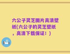 六公子灵芝图片高清壁纸(六公子的灵芝壁纸，高清下载保证！)