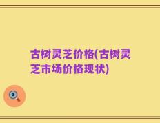 古树灵芝价格(古树灵芝市场价格现状)