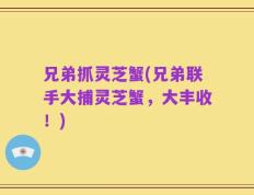 兄弟抓灵芝蟹(兄弟联手大捕灵芝蟹，大丰收！)
