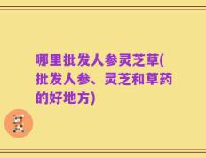哪里批发人参灵芝草(批发人参、灵芝和草药的好地方)