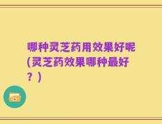 哪种灵芝药用效果好呢(灵芝药效果哪种最好？)