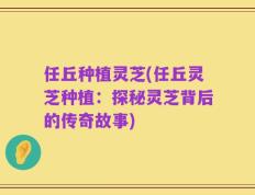 任丘种植灵芝(任丘灵芝种植：探秘灵芝背后的传奇故事)