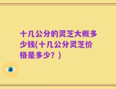 十几公分的灵芝大概多少钱(十几公分灵芝价格是多少？)
