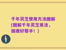 千年灵芝使用方法图解(图解千年灵芝用法，健康好帮手！)