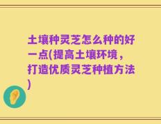 土壤种灵芝怎么种的好一点(提高土壤环境，打造优质灵芝种植方法)