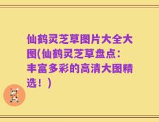 仙鹤灵芝草图片大全大图(仙鹤灵芝草盘点：丰富多彩的高清大图精选！)