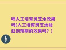 喝人工培育灵芝水效果吗(人工培育灵芝水能起到预期的效果吗？)