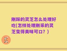 刚踩的灵芝怎么处理好吃(怎样处理刚采的灵芝变得美味可口？)