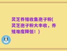 灵芝养殖收集孢子粉(灵芝孢子粉大丰收，养殖难度降低！)