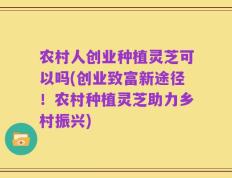 农村人创业种植灵芝可以吗(创业致富新途径！农村种植灵芝助力乡村振兴)