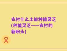 农村什么土能种植灵芝(种植灵芝——农村的新盼头)