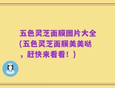 五色灵芝面膜图片大全(五色灵芝面膜美美哒，赶快来看看！)