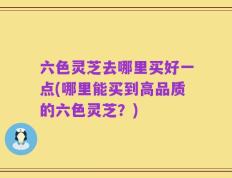 六色灵芝去哪里买好一点(哪里能买到高品质的六色灵芝？)