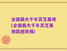 全国最大千年灵芝基地(全国最大千年灵芝基地震撼亮相)