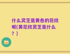 什么灵芝是黄色的花纹呢(黄花纹灵芝是什么？)