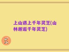 上山遇上千年灵芝(山林邂逅千年灵芝)