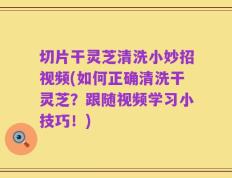 切片干灵芝清洗小妙招视频(如何正确清洗干灵芝？跟随视频学习小技巧！)