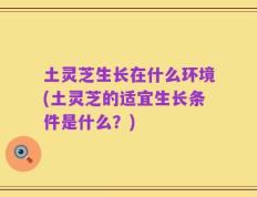 土灵芝生长在什么环境(土灵芝的适宜生长条件是什么？)