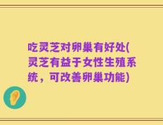 吃灵芝对卵巢有好处(灵芝有益于女性生殖系统，可改善卵巢功能)