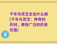 千年乌灵芝主治什么病(千年乌灵芝：神奇的药材，拥有广泛的药用价值)