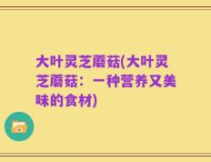大叶灵芝蘑菇(大叶灵芝蘑菇：一种营养又美味的食材)