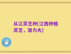 从江灵芝种(江西种植灵芝，潜力大)