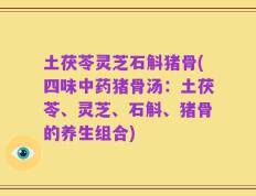 土茯苓灵芝石斛猪骨(四味中药猪骨汤：土茯苓、灵芝、石斛、猪骨的养生组合)