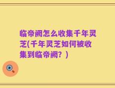 临帝阙怎么收集千年灵芝(千年灵芝如何被收集到临帝阙？)