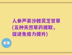 人参芦荟沙棘灵芝甘草(五种天然草药提取，促进免疫力提升)
