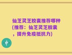 仙芝灵芝胶囊推荐哪种(推荐：仙芝灵芝胶囊，提升免疫抵抗力)