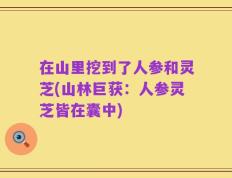 在山里挖到了人参和灵芝(山林巨获：人参灵芝皆在囊中)