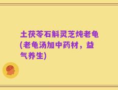 土茯苓石斛灵芝炖老龟(老龟汤加中药材，益气养生)