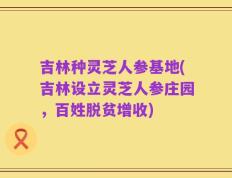 吉林种灵芝人参基地(吉林设立灵芝人参庄园，百姓脱贫增收)
