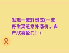 发现一窝野灵芝(一窝野生灵芝意外涨价，农户欣喜盈门！)