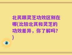 北芪跟灵芝功效区别在哪(比较北芪和灵芝的功效差异，你了解吗？)