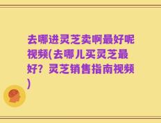 去哪进灵芝卖啊最好呢视频(去哪儿买灵芝最好？灵芝销售指南视频)