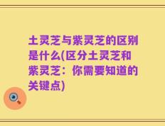 土灵芝与紫灵芝的区别是什么(区分土灵芝和紫灵芝：你需要知道的关键点)