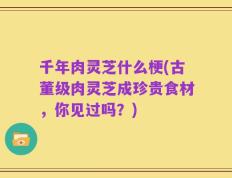 千年肉灵芝什么梗(古董级肉灵芝成珍贵食材，你见过吗？)